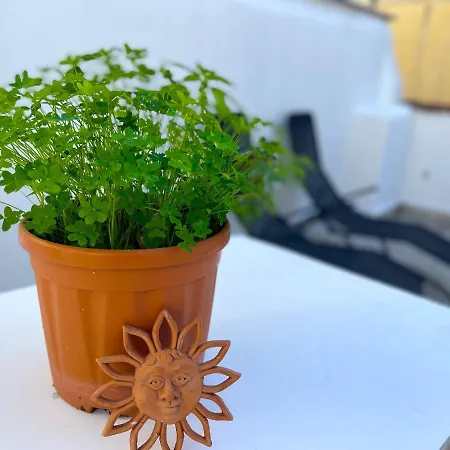 Palazzo Barone,nel Cuore Del Borgo Antico. Appartamento Bari